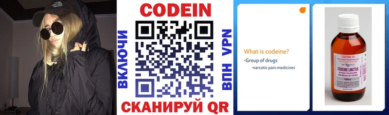 цена наркотик  ОМГ ОМГ маркетплейс  Codein напиток Lean (лин)  Вытегра 